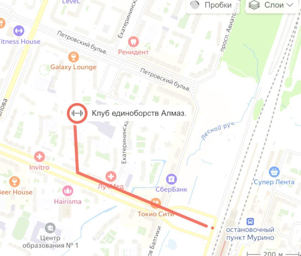  Клуб единоборств Алмаз Мурино - схема прохода от метро